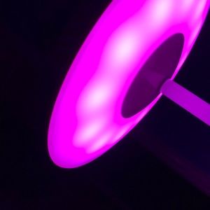 Meet your Posher, Benjamin